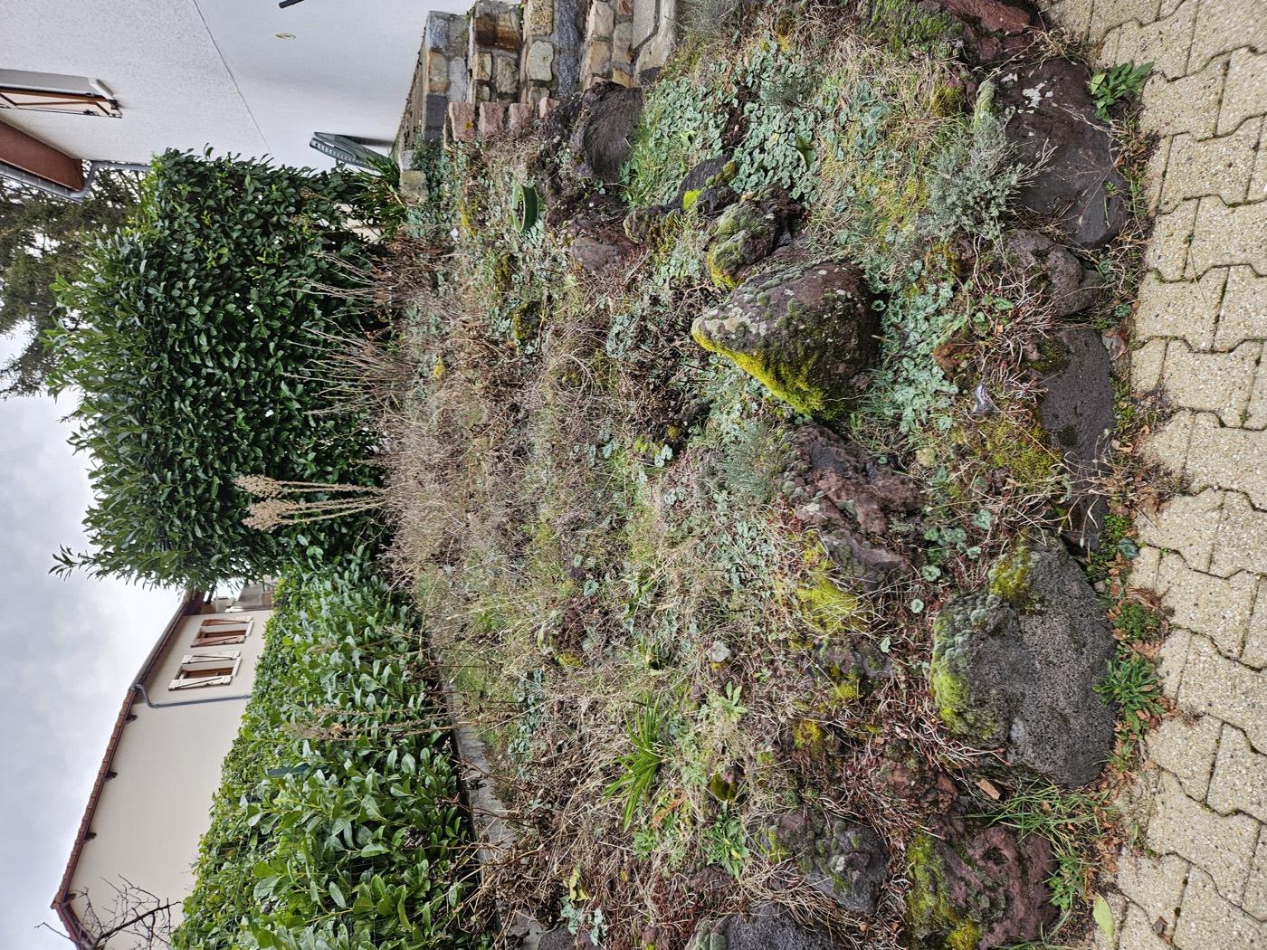 Remise en état d’un massif avant intervention