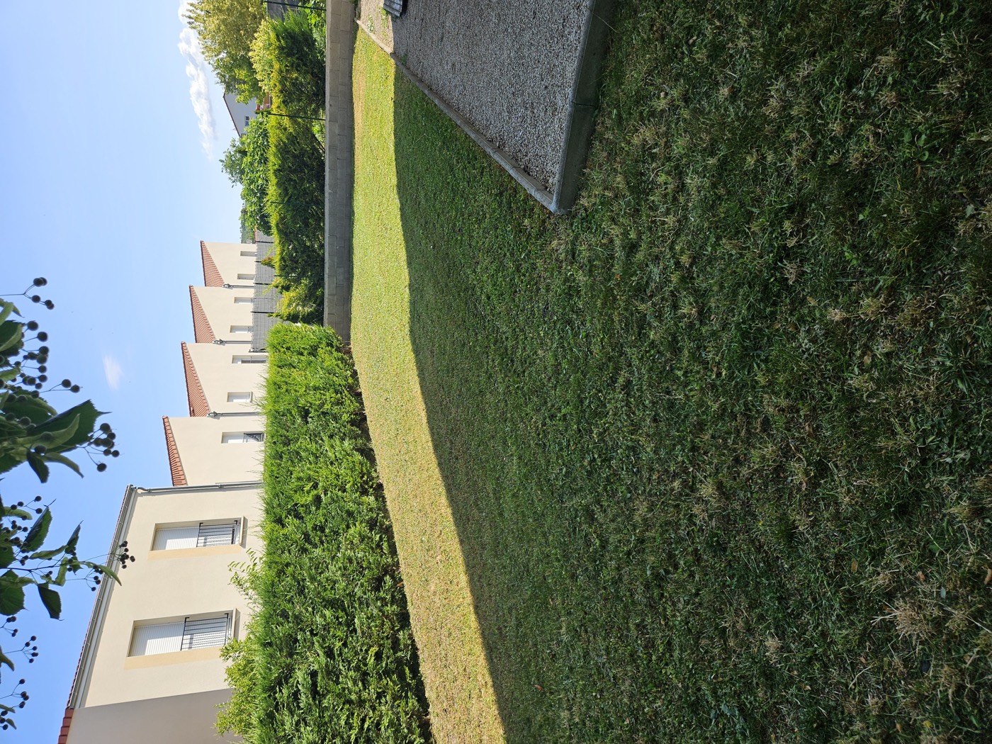Entretien jardin & haies